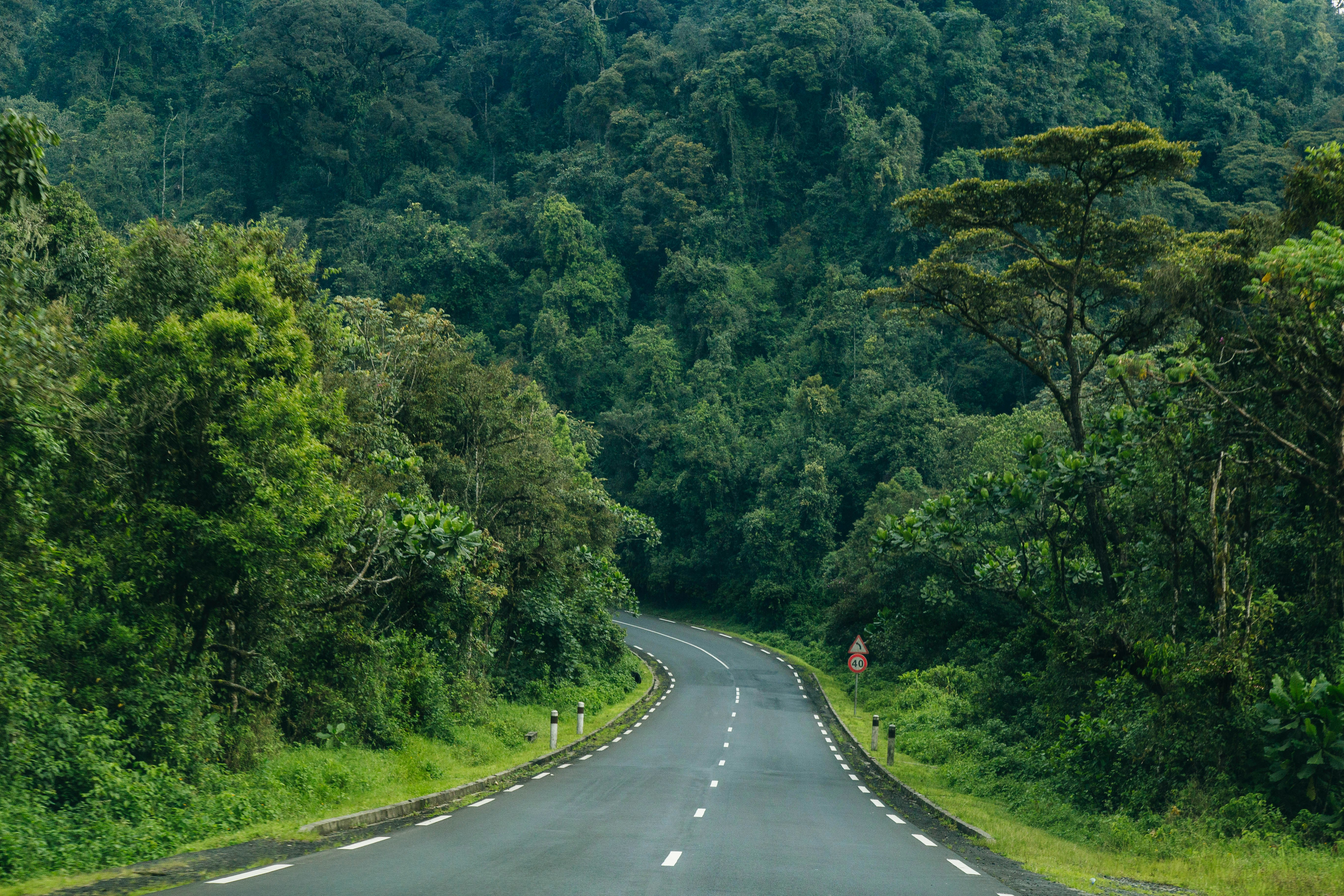 Rwanda Scenic Landscape