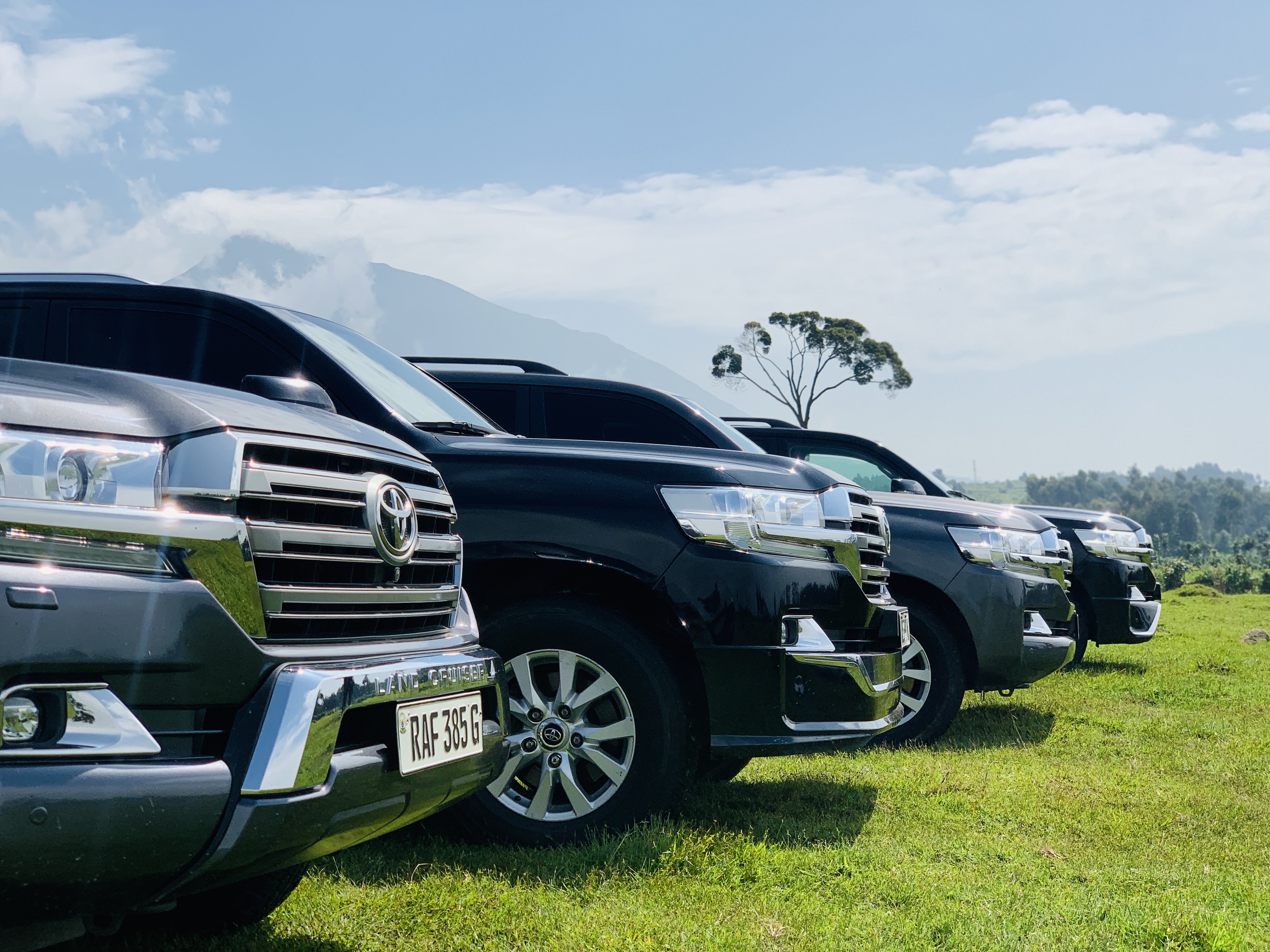 Our Car Fleet